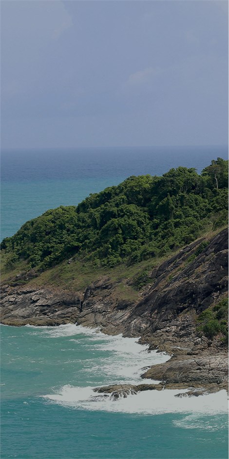 荒野海岛